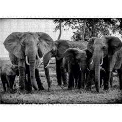 CALVENDO Puzzle CALVENDO Puzzle Die Familie Пазл CALVENDO Пазл Семья