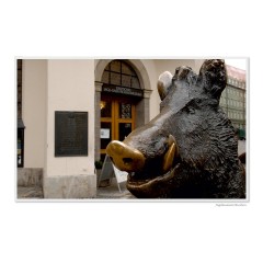 CALVENDO Puzzle CALVENDO Puzzle Emotionale Momente: Die Jagd. \/ CH-Version Пазл CALVENDO Пазл Эмоциональные моменты: Охота. \/ версия CH