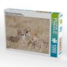 CALVENDO Puzzle CALVENDO Puzzle Katzenwasche nach Gepardenart. Пазл CALVENDO Puzzle Кошка в стиле гепарда.