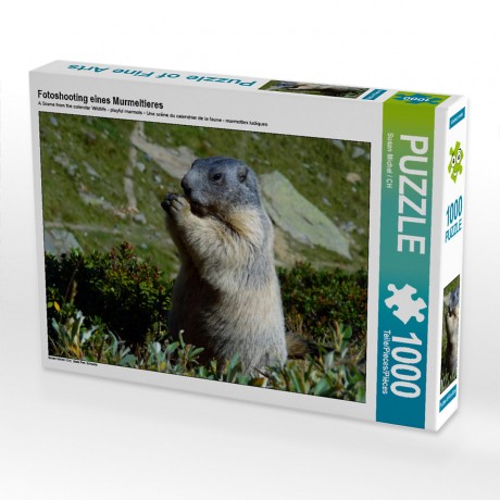 CALVENDO Puzzle CALVENDO Puzzle Fotoshooting eines Murmeltieres Пазл CALVENDO Puzzle Фотосессия сурка