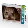 CALVENDO Puzzle CALVENDO Puzzle Klippschliefer in Namibia Пазл CALVENDO Puzzle Rock Hyrax в Намибии