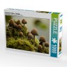 CALVENDO Puzzle CALVENDO Puzzle Versteckt im Moos Пазл CALVENDO Puzzle Спрятанный во мху