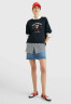 Tommy Hilfiger ARCHED LOGO MONOGRAM  Sweatshirt desert sky ARCHED LOGO MONOGRAM Толстовка небо пустыни