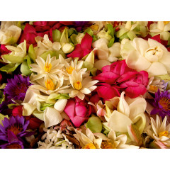 CALVENDO Puzzle CALVENDO Puzzle Blutenrausch Kandy Пазл CALVENDO Puzzle Blood Rush Канди