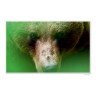 CALVENDO Puzzle CALVENDO Puzzle Emotional Moments: Die Augen der Tiere. UK-Version Пазл CALVENDO Puzzle Emotional Moments: Глаза животных. версия для Великобритании
