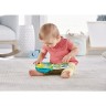 Mattel Fisher-Price Tierfreunde-Liederbuch Сборник песен Fisher-Price для любителей животных