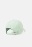 Tommy Hilfiger ICONIC PREP Cap spring lime ICONIC PREP Кепка весенняя известь