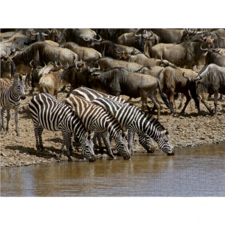 CALVENDO Puzzle CALVENDO Puzzle Faszination Safari. Wildlife in Kenia Пазл CALVENDO Puzzle Очарование Сафари. Дикая природа в Кении