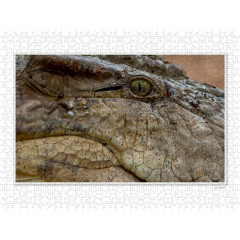 CALVENDO Puzzle CALVENDO Puzzle Emotionale Momente: Die Augen der Tiere. \/ CH-Version Пазл CALVENDO Пазл Эмоциональные моменты: Глаза животных. \/ версия CH