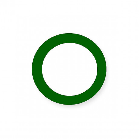 SINASPIELZEUG Holzspielzeug Legematerial Ring Grun 24 Stuck Материал для прокладки деревянных игрушек Ring Green 24 шт.