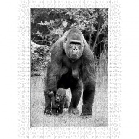 CALVENDO Puzzle CALVENDO Puzzle Emotionale Momente: Gorillas in black  white \/ CH-Version Пазл CALVENDO Puzzle Эмоциональные моменты: гориллы в черно-белом / Швейцарская версия