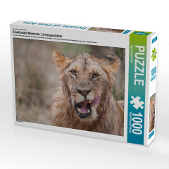 CALVENDO Puzzle CALVENDO Puzzle Emotionale Momente: Lowengesichter Пазл CALVENDO Puzzle Эмоциональные моменты: львиные морды