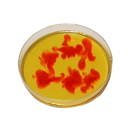 myExperimentSet FORSCHER ИССЛЕДОВАТЕЛИ