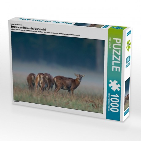 CALVENDO Puzzle CALVENDO Puzzle Emotionale Momente: Muffelwild. Пазл CALVENDO Пазл Эмоциональные моменты: муфлон.