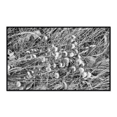 CALVENDO Puzzle CALVENDO Puzzle Emotionale Momente: Black  White Fineart Пазл CALVENDO Puzzle Emotional Moments: Black White Fine Art