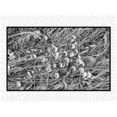 CALVENDO Puzzle CALVENDO Puzzle Emotionale Momente: Black  White Fineart Пазл CALVENDO Puzzle Emotional Moments: Black White Fine Art