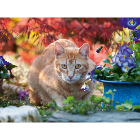 CALVENDO Puzzle CALVENDO Puzzle Rot-getigerte Katze in einer bunten Gartenidylle Пазл CALVENDO Puzzle Рыжий полосатый кот в красочной садовой идиллии