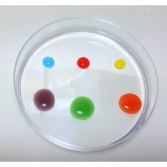 myExperimentSet Forschen Исследовать