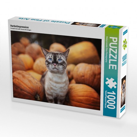 CALVENDO Puzzle CALVENDO Puzzle Herbstimpression Пазл CALVENDO Пазл Осеннее впечатление