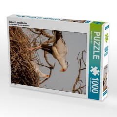 CALVENDO Puzzle CALVENDO Puzzle Sekretar beim Nisten Пазл CALVENDO Пазл секретер вложенность