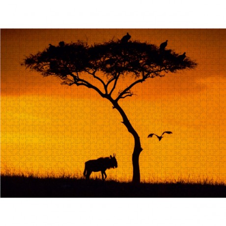 CALVENDO Puzzle CALVENDO Puzzle Abendstimmung in der Savanne. Пазл CALVENDO Пазл Вечернее настроение в саванне.