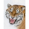CALVENDO Puzzle CALVENDO Puzzle Amurtiger Пазл CALVENDO Пазл Амурский тигр