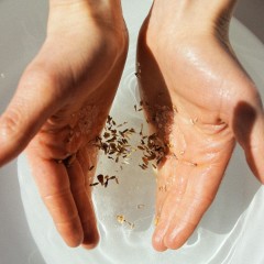 Bjork  Berries Bath Salt  Соль для ванны