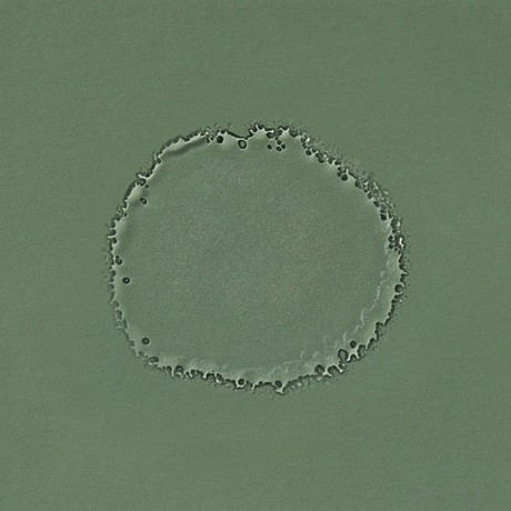 Edible Beauty No. 2 Citrus Rhapsody Toner Mist  Нет. 2 тонера Citrus Rhapsody