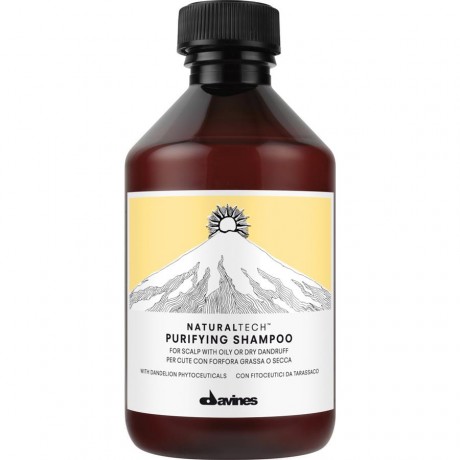 Davines (Давинес) Naturaltech Purifying Shampoo Шампунь от перхоти , 250 мл