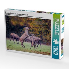 CALVENDO Puzzle CALVENDO Puzzle Emotionale Momente: Hirschbrunft. Part III. Пазл CALVENDO Пазл Эмоциональные моменты: Оленья гонка. Часть 3