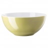 Thomas Thomas Sunny Day Avocado Green Schussel 24 cm / 2,80 L Чаша Thomas Sunny Day Avocado Green 24 см / 2,80 л