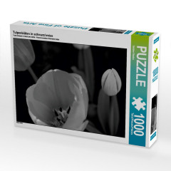 CALVENDO Puzzle CALVENDO Puzzle Tulpenbluten in schwarz\/weiss Пазл CALVENDO Puzzle Tulip расцветает в черно-белом цвете