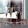 Spiegelau Spiegelau Willsberger Anniversary 30 Jahre Jubilaums-Set Champagnerkelch Set 4-tlg. Набор бокалов для шампанского Spiegelau Willsberger Anniversary к 30-летнему юбилею, 4 предм.