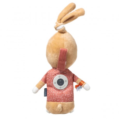 Rock My Sleep Spieluhr  Ivy die Hasin MIT Geschenkbox Музыкальная шкатулка Кролик Айви С подарочной коробкой