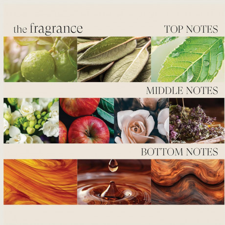 Lanza Healing Style Air Paste 167 ml Финишный лак для волос