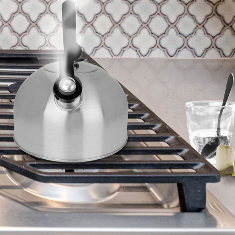 Excellent Excellent Wasserkessel Flotenkessel Edelstahl Teekessel Pfeifkessel 2,5l  Отличный чайник, чайник со свистком, чайник из нержавейки, чайник со свистком, 2,5 л.