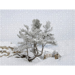 CALVENDO Puzzle CALVENDO Puzzle Abstieg von den Lower Terraces Пазл CALVENDO Puzzle Спуск с нижних террас