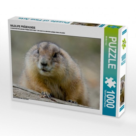 CALVENDO Puzzle CALVENDO Puzzle WILDLIFE PRAIEHUNDE Пазл CALVENDO Puzzle WILDLIFE PRAIDOGS