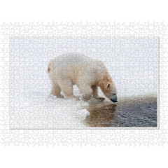 CALVENDO Puzzle CALVENDO Puzzle Emotionale Momente: Der Eisbar. \/ CH-Version Пазл CALVENDO Пазл Эмоциональные моменты: ледяной бар. \/ версия CH