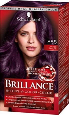 Brillance Краска для волос Coloration 888 Dunkle Kirsche