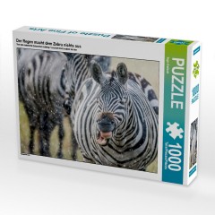 CALVENDO Puzzle CALVENDO Puzzle Der Regen macht dem Zebra nichts aus Пазл CALVENDO Puzzle Дождь не беспокоит зебру