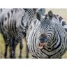 CALVENDO Puzzle CALVENDO Puzzle Der Regen macht dem Zebra nichts aus Пазл CALVENDO Puzzle Дождь не беспокоит зебру