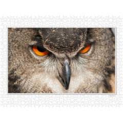 CALVENDO Puzzle CALVENDO Puzzle Emotional Moments: Die Augen der Tiere. UK-Version Пазл CALVENDO Puzzle Emotional Moments: Глаза животных. версия для Великобритании