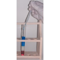 myExperimentSet Forschen Исследовать