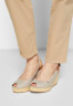 Tommy Hilfiger ICONIC ELBA SLING BACK WEDGE Platform sandals taupe ICONIC ELBA SLING BACK WEDGE Сандалии на платформе серо-коричневый