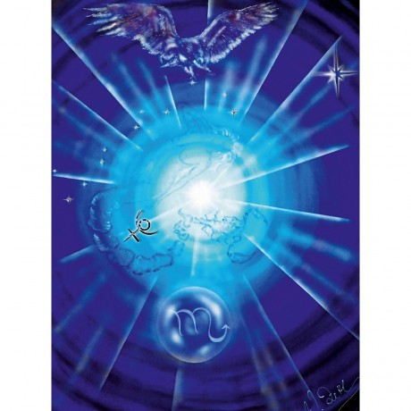 CALVENDO Puzzle CALVENDO Puzzle Skorpion Пазл CALVENDO Пазл Скорпион