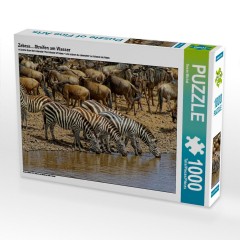 CALVENDO Puzzle CALVENDO Puzzle Zebras....Streifen am Wasser Пазл CALVENDO Puzzle Zebras....полоски на воде