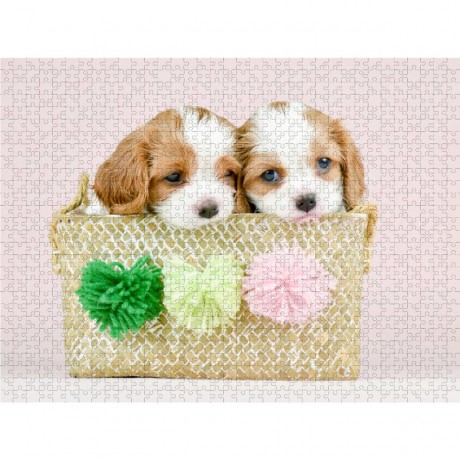 CALVENDO Puzzle CALVENDO Puzzle Zwei kleine Feger Пазл CALVENDO Puzzle Два маленьких дворника