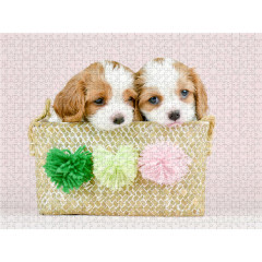 CALVENDO Puzzle CALVENDO Puzzle Zwei kleine Feger Пазл CALVENDO Puzzle Два маленьких дворника