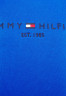 Tommy Hilfiger REGULAR  Hoodie electric blue ОБЫЧНЫЙ Толстовка с капюшоном синий электрик